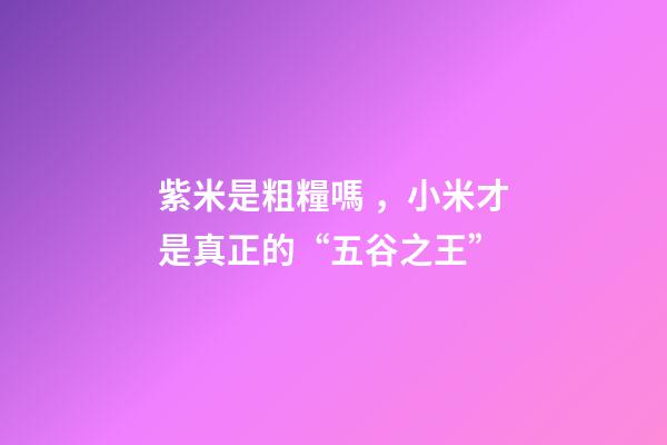 紫米是粗糧嗎，小米才是真正的“五谷之王”-第1張-觀點-玄機派